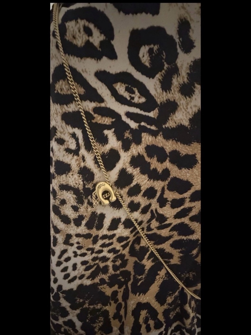 NWOT Coach Glovetanned Leather Mini Dinky Bag Chain Crossbody NWT CZ108 in Chalk - Picture 8 of 8